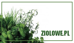 przyprawy, przepisy na zdrowe dania, przyprawy orientalne, kuchnia orientalna, zioła w kuchni