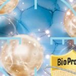 BioProtect – chroń ściany przed skażeniem biologicznym