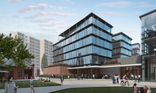 LINK i Waberer’s Polska wybrały Konesera