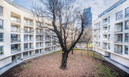 Otoczenie inwestycji i komfort mieszkańców idą w parze