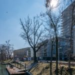 Powstaje zielona oaza wśród zabudowy Przedmieścia Oławskiego