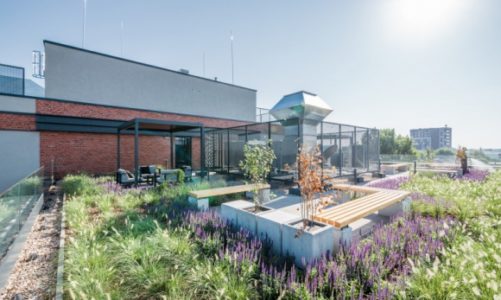 Trendy w projektowaniu biur – co się zmieni w 2019 roku?