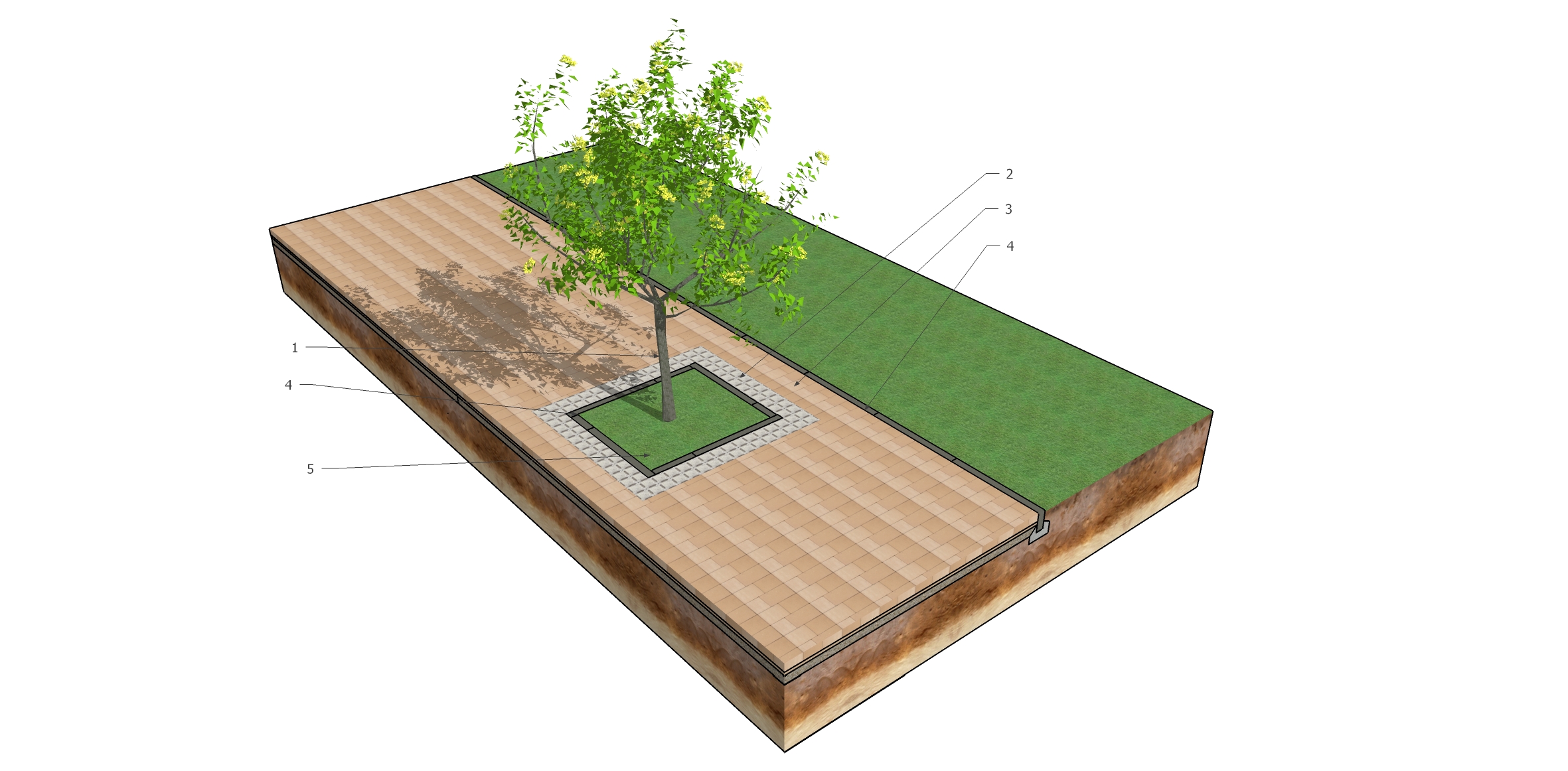 NAWIERZCHNIA MIÄDZY DRZEWAMI