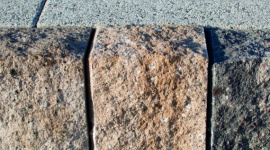 PALISADA ŁUPANA – POSTAW NA NATURALNOŚĆ