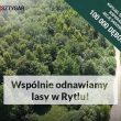 POSADĹš 100 000 DÄBÓW ZE SZTYGAREM!