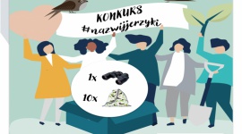 Wyniki konkursu #nazwijjerzyki