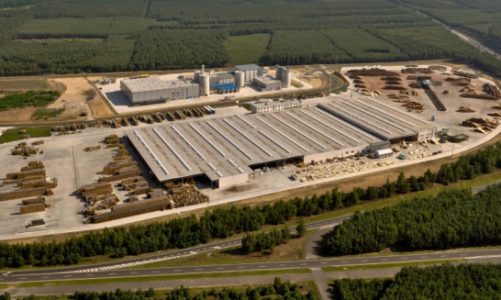 Sprzedaż architektury ogrodowej w Niemczech napędza wzrost przychodów Stelmetu