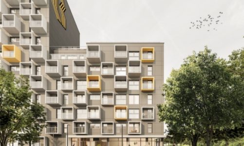 Pierwsze wynajmowane mieszkanie. Czego poszukują młodzi ludzie?